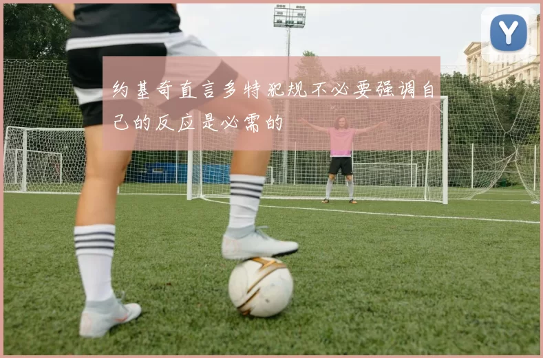 约基奇直言多特犯规不必要强调自己的反应是必需的