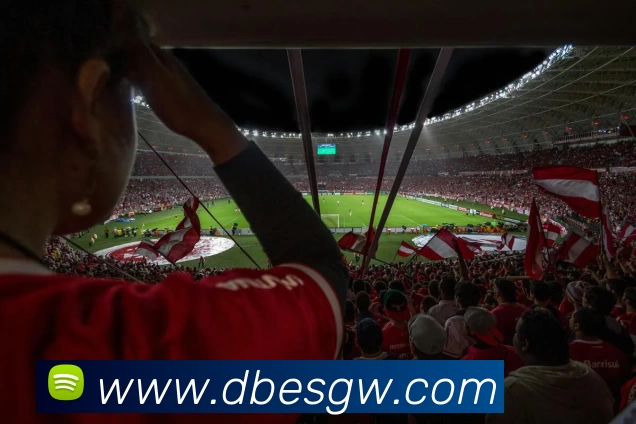 db电竞官网app服务体系